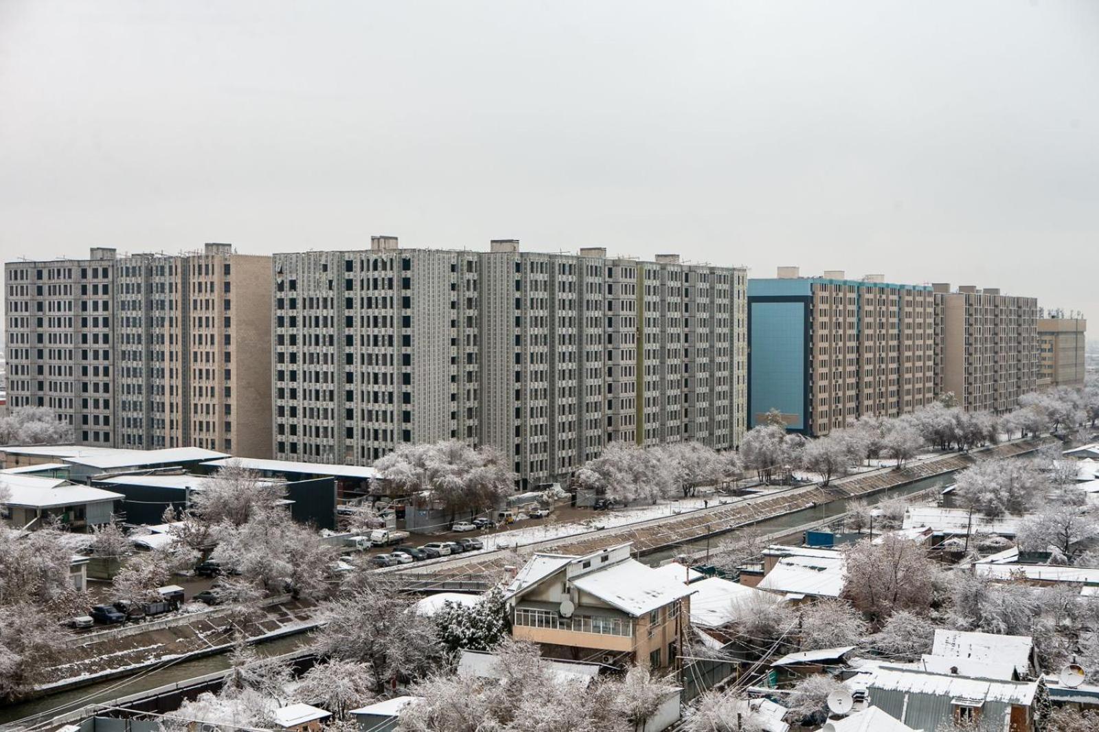 Apartment большая на 8-9 человек 52